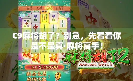 C9麻将胡了？别急，先看看你是不是真·麻将高手！