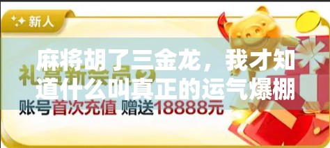 麻将胡了三金龙，我才知道什么叫真正的运气爆棚！