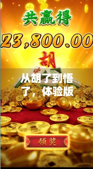 从胡了到悟了，体验版麻将，竟让我重新理解了人生